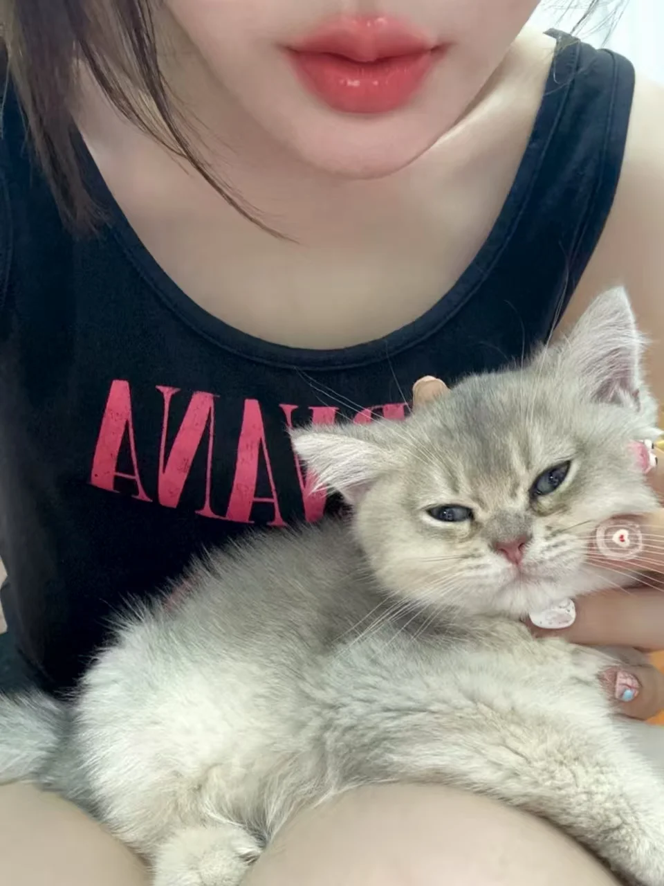 下半张脸决定你有多美