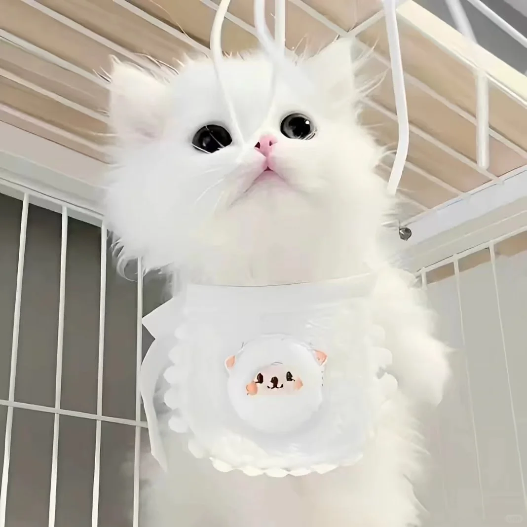 少女感女头