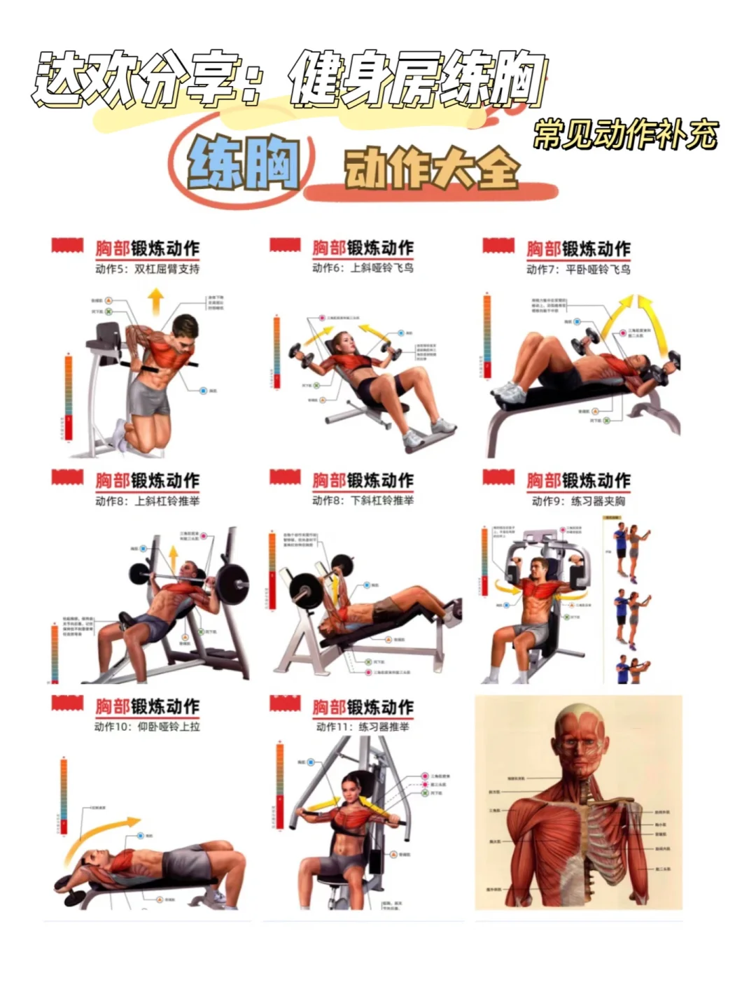 真实经验分享（九）：练胸真的有用！附 live