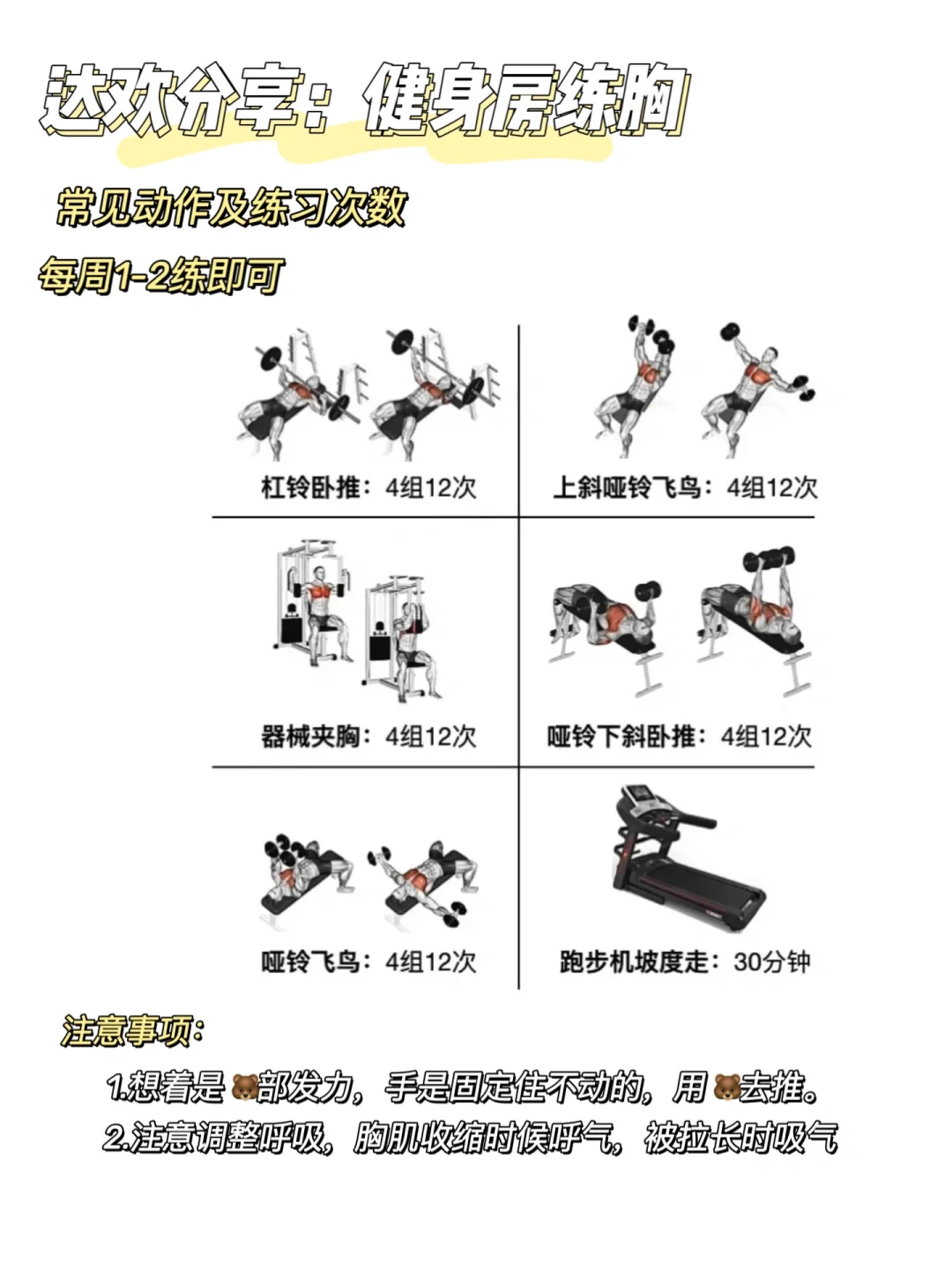 真实经验分享（九）：练胸真的有用！附 live
