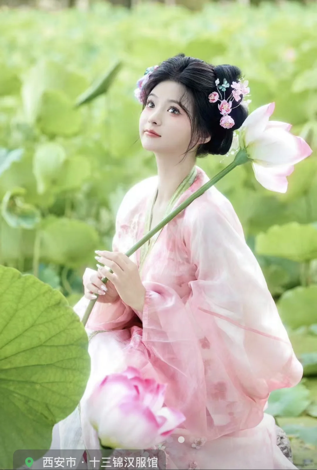 【汉服妆造集锦】清荷仙子特辑 ⑦ 🌸