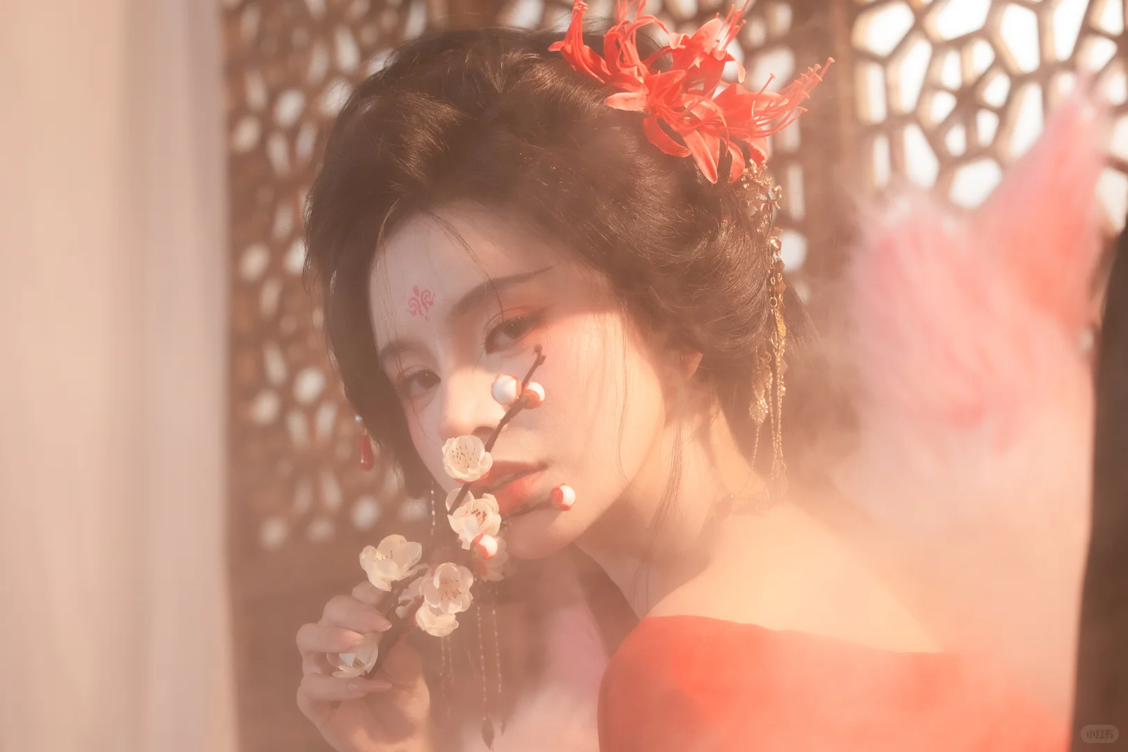 遇见她的眉眼 如清风明月