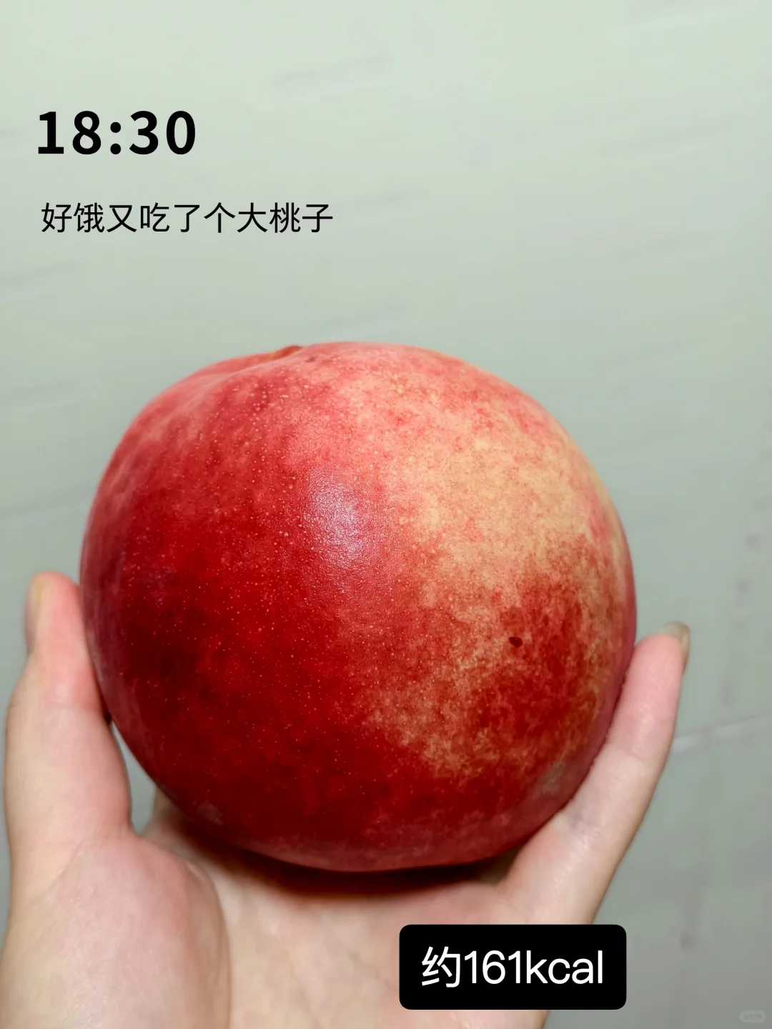 嘴馋一天1000大卡吃什么