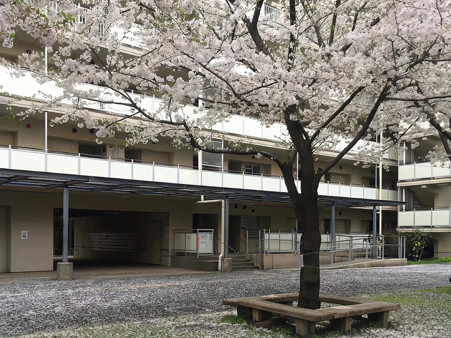 𝑺𝒉𝒂𝒓𝒆 | 夏日iPad电脑壁纸