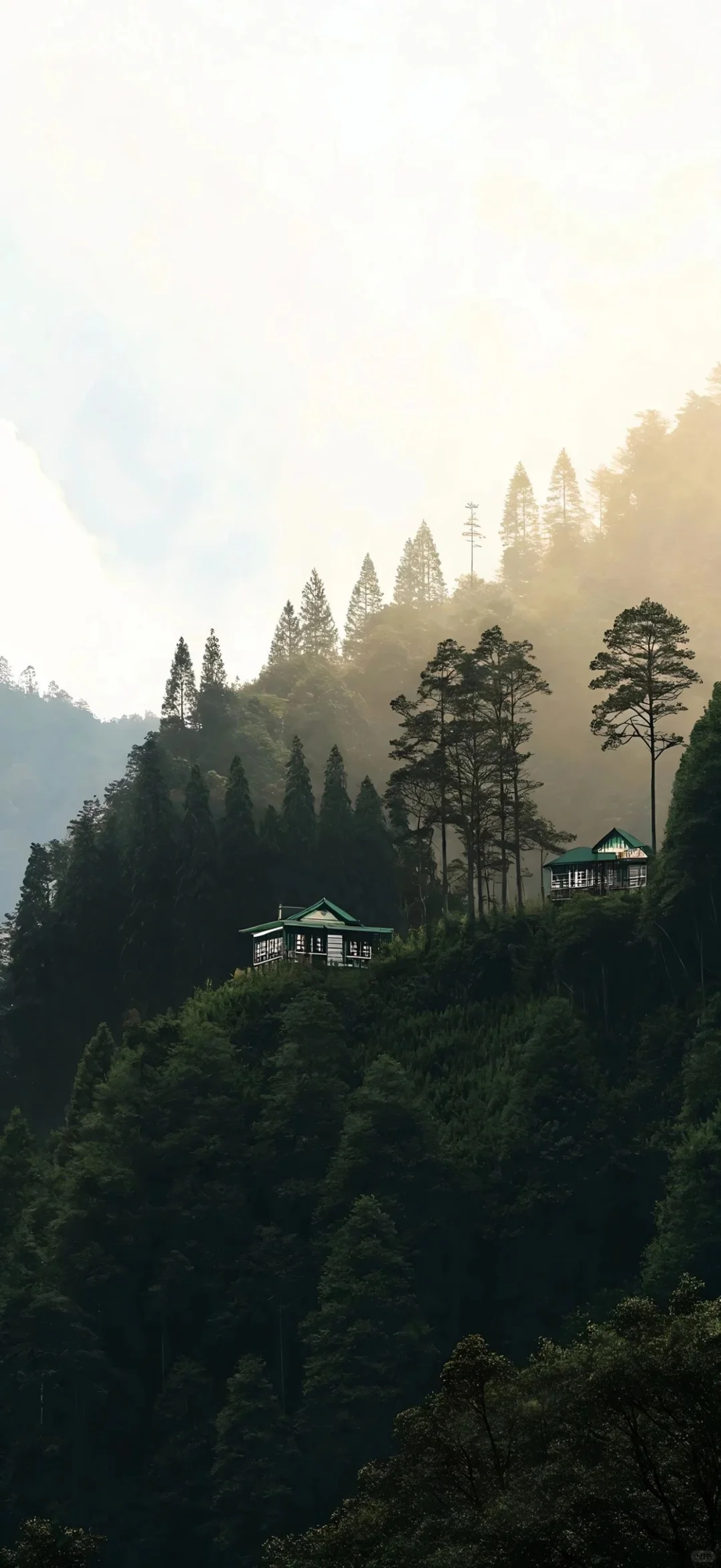 𝑺𝒉𝒂𝒓𝒆 | 小众高级锁屏壁纸