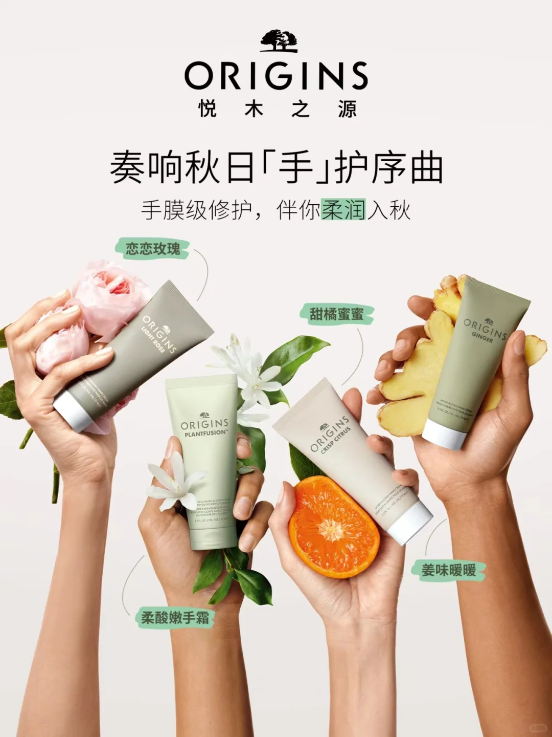 每天认识一个品牌——悦木之源Origins