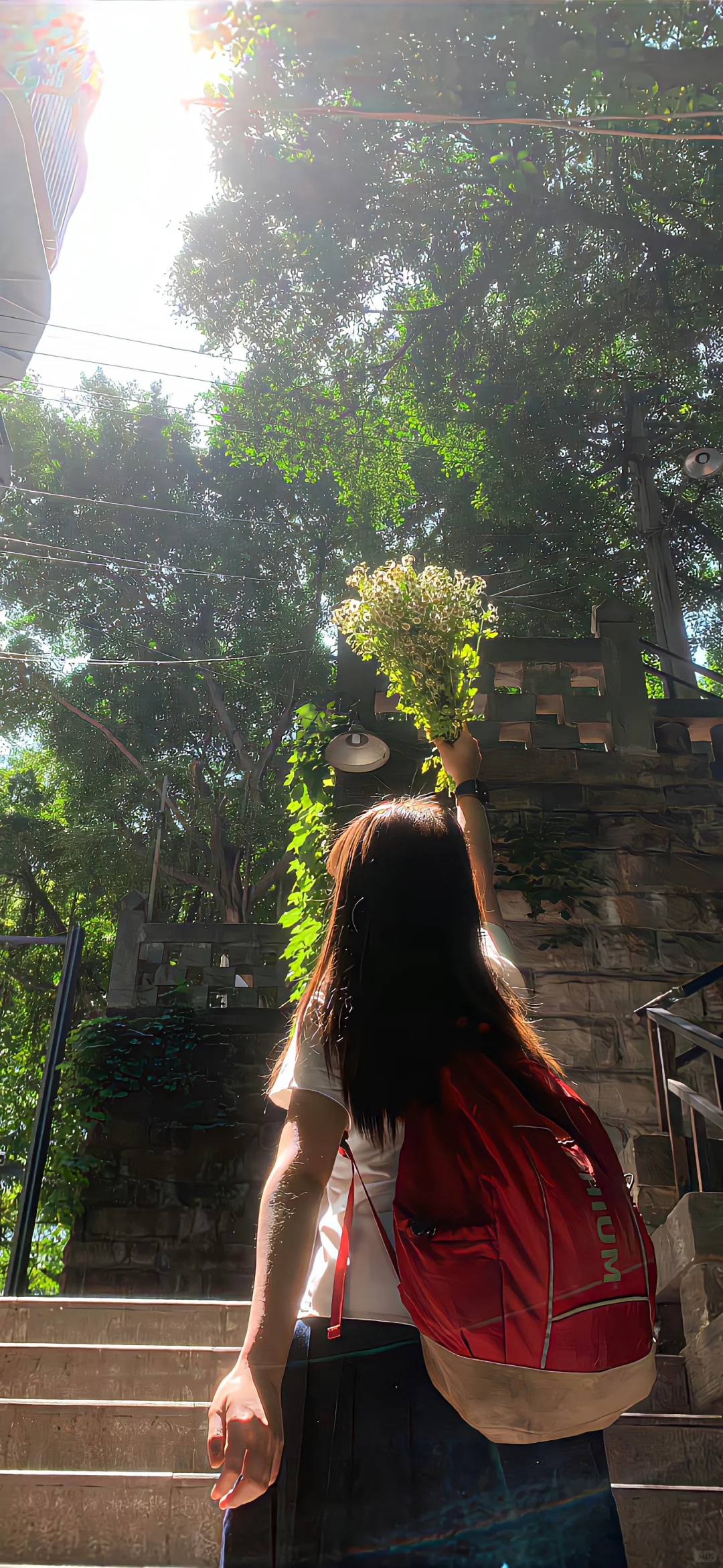 𝑺𝒉𝒂𝒓𝒆 | 小众高级锁屏壁纸