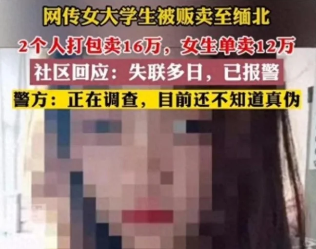 一位小公主的价值！