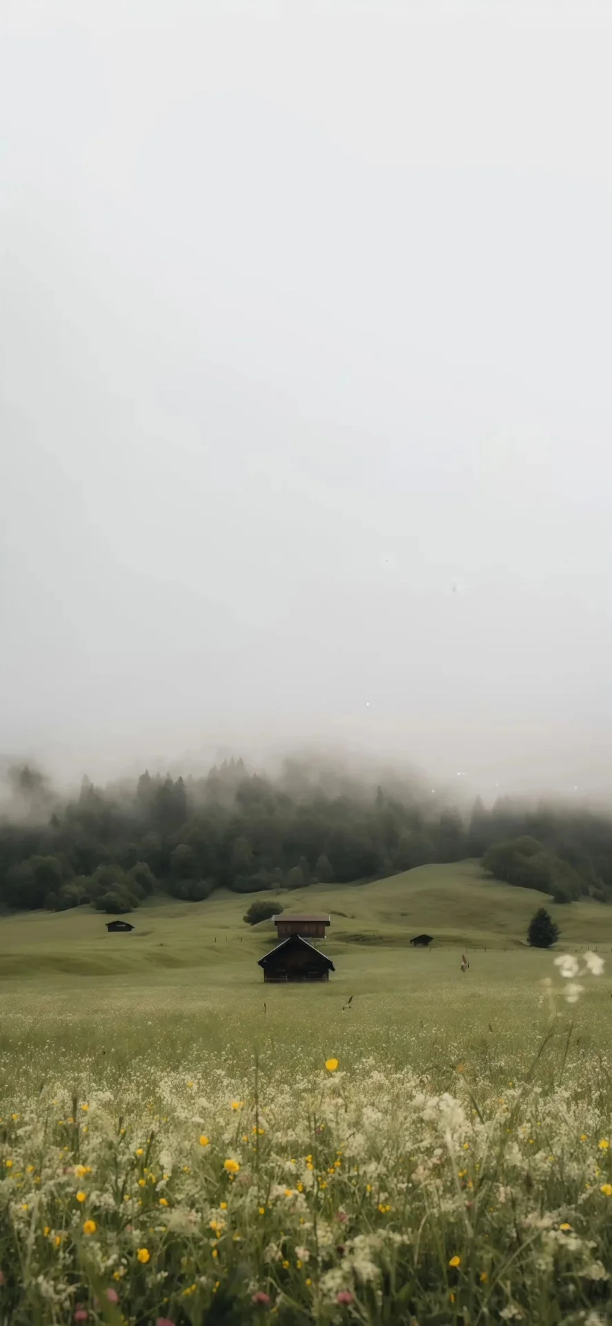 𝙎𝙝𝙖𝙧𝙚壁纸｜极致简约ins风壁纸