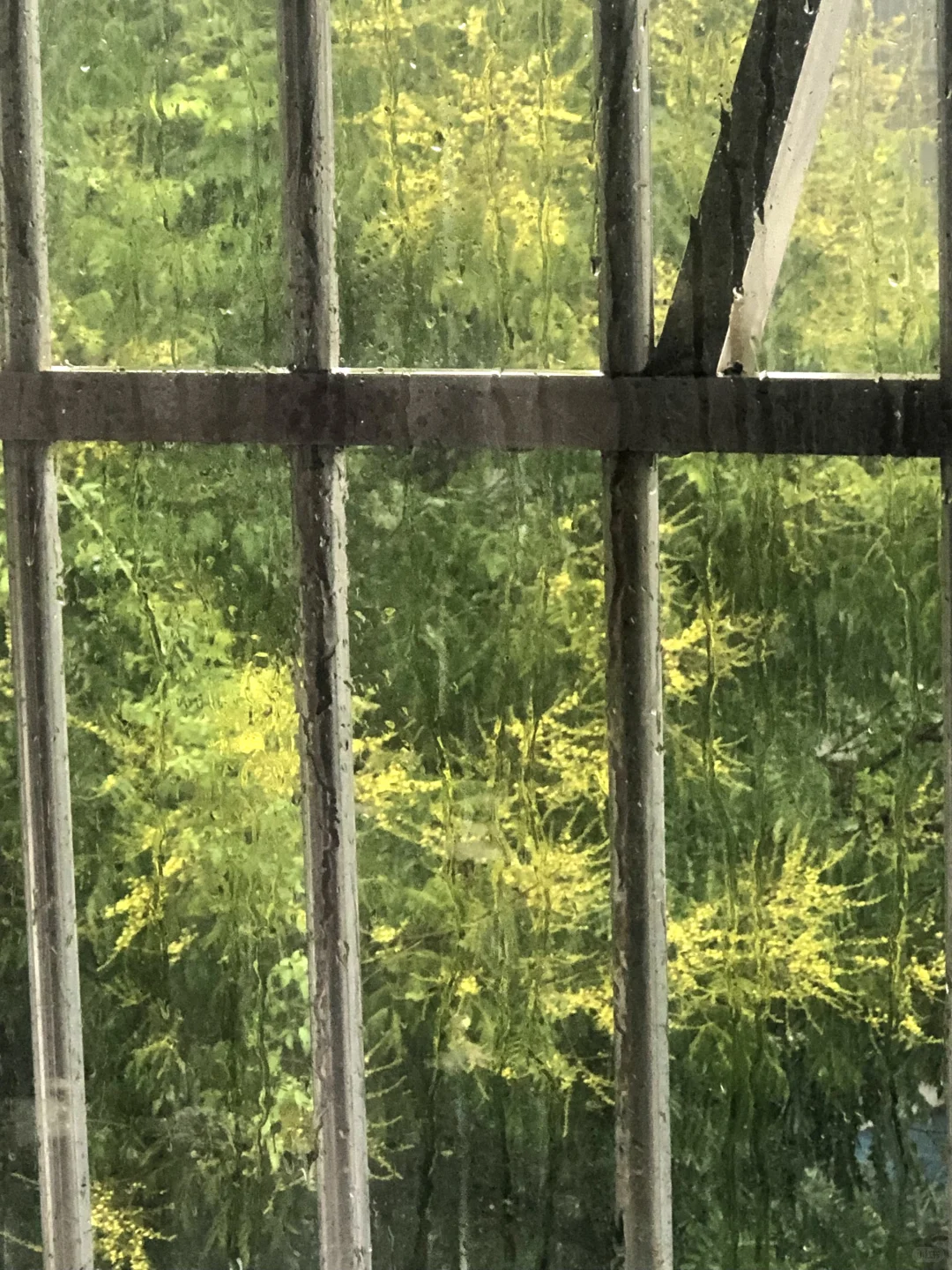胖女孩没有幽默的义务