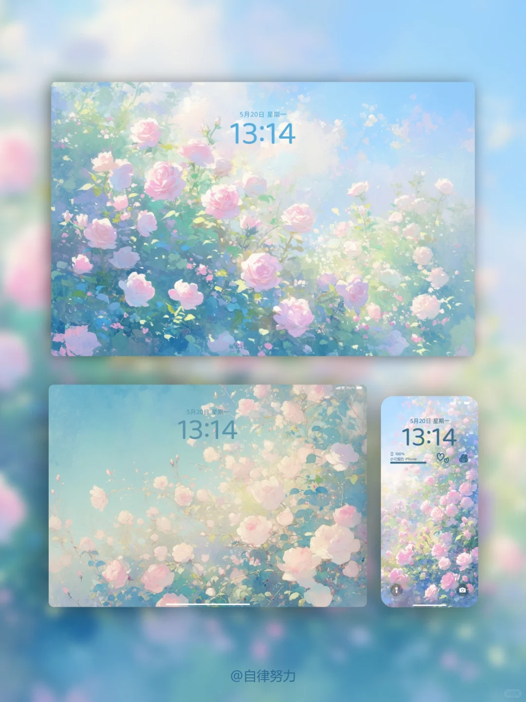 壁纸‖玫瑰花