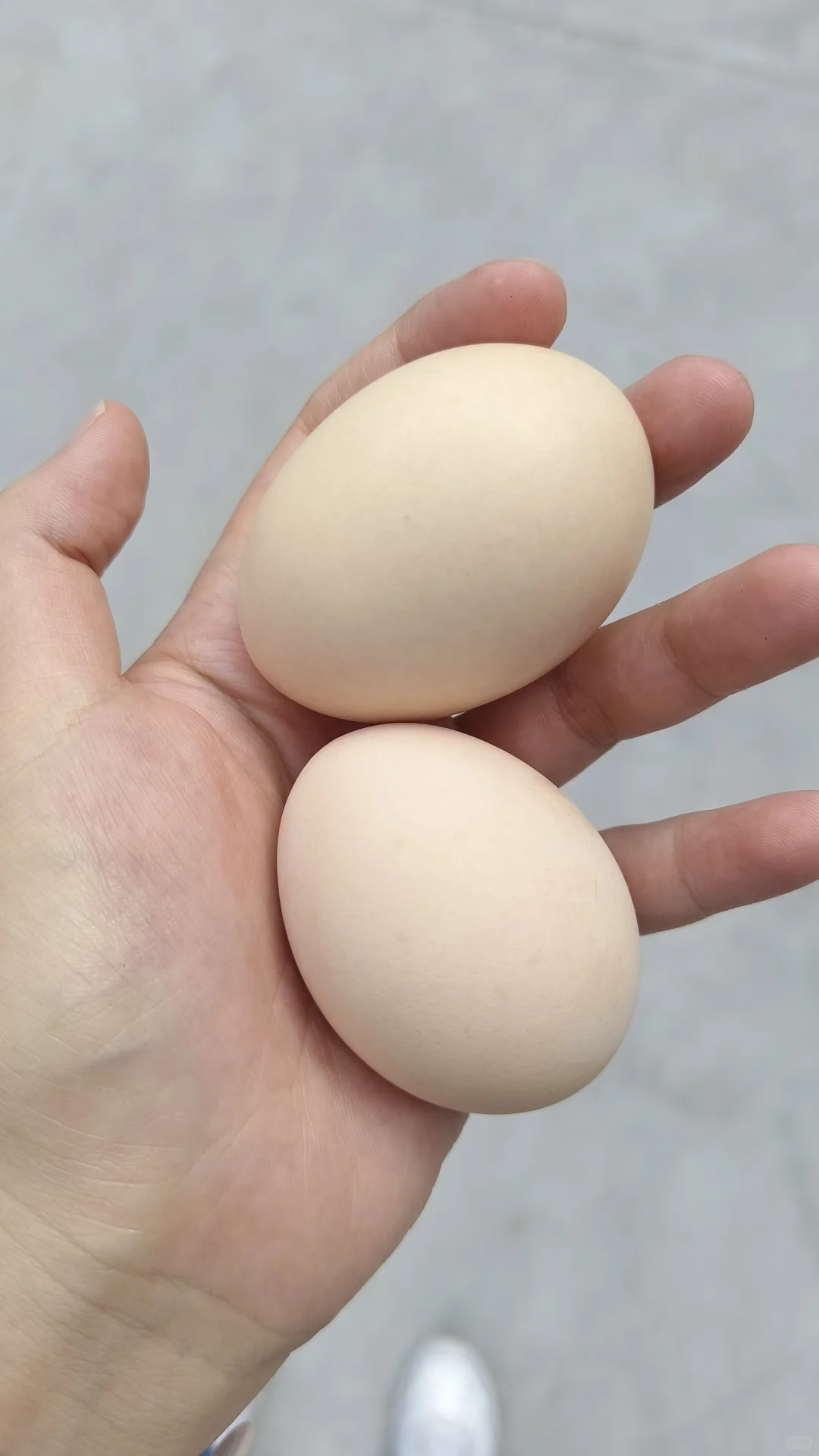 女大在校减肥Day7｜已减2kg｜有运动