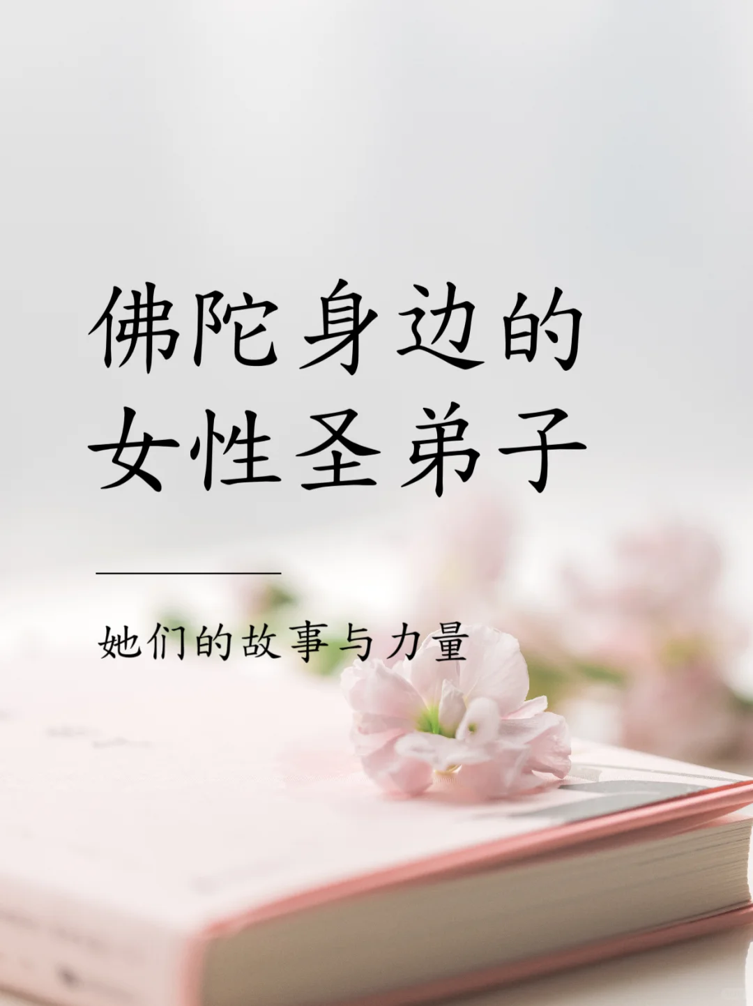 智慧第一 ：美貌皇后的觉悟之路