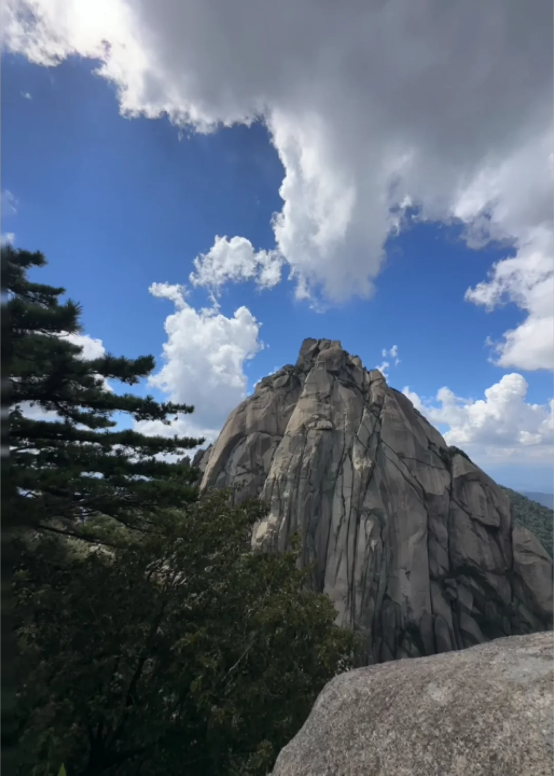 36岁姐姐⛰️🍃大自然中消耗卡路里最得劲儿
