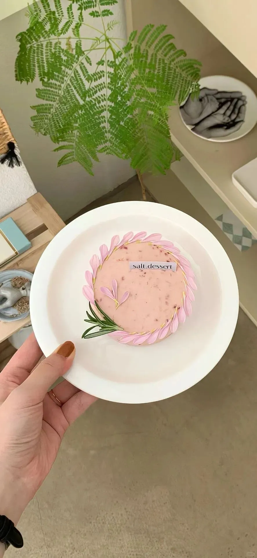 我的花园到处是星星的碎片