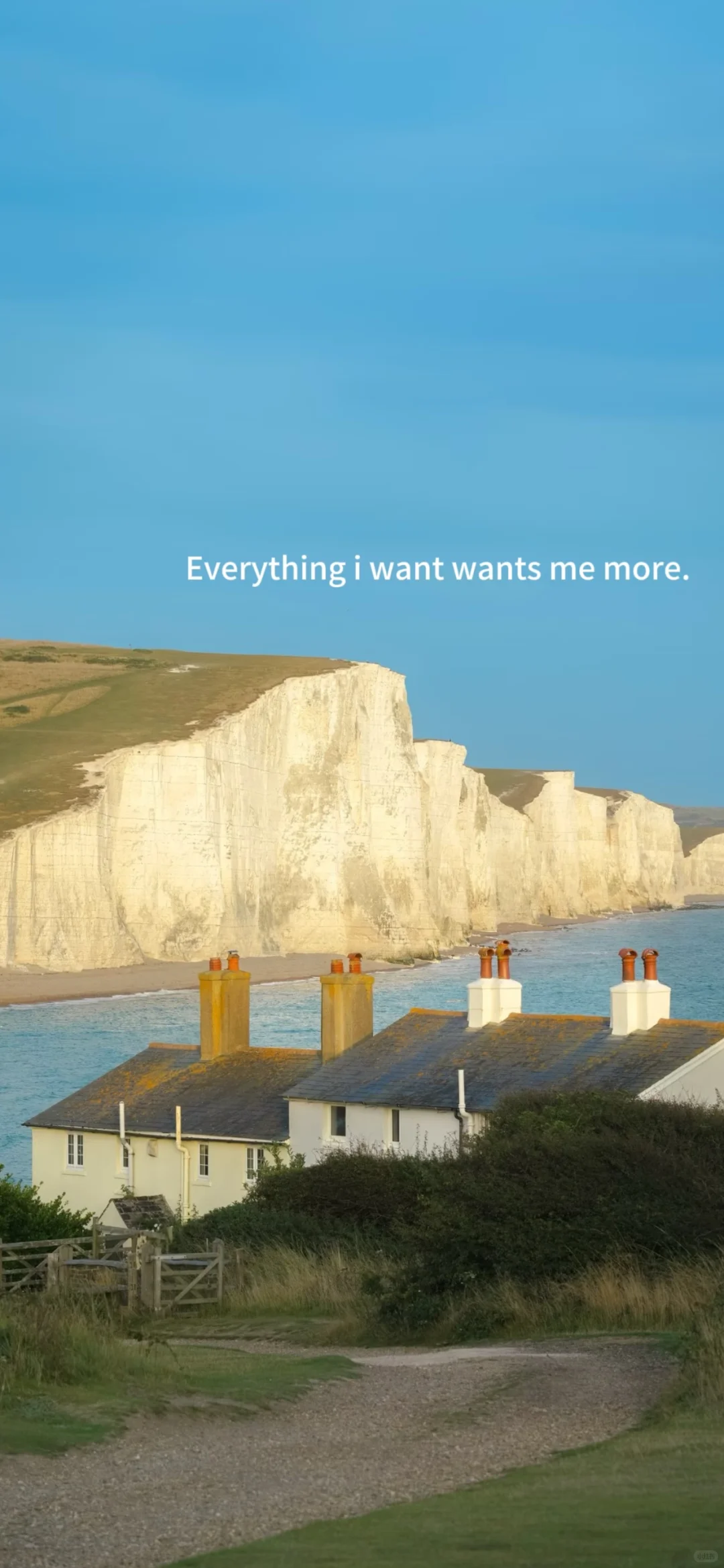 💐壁纸｜Everything I want wants me more