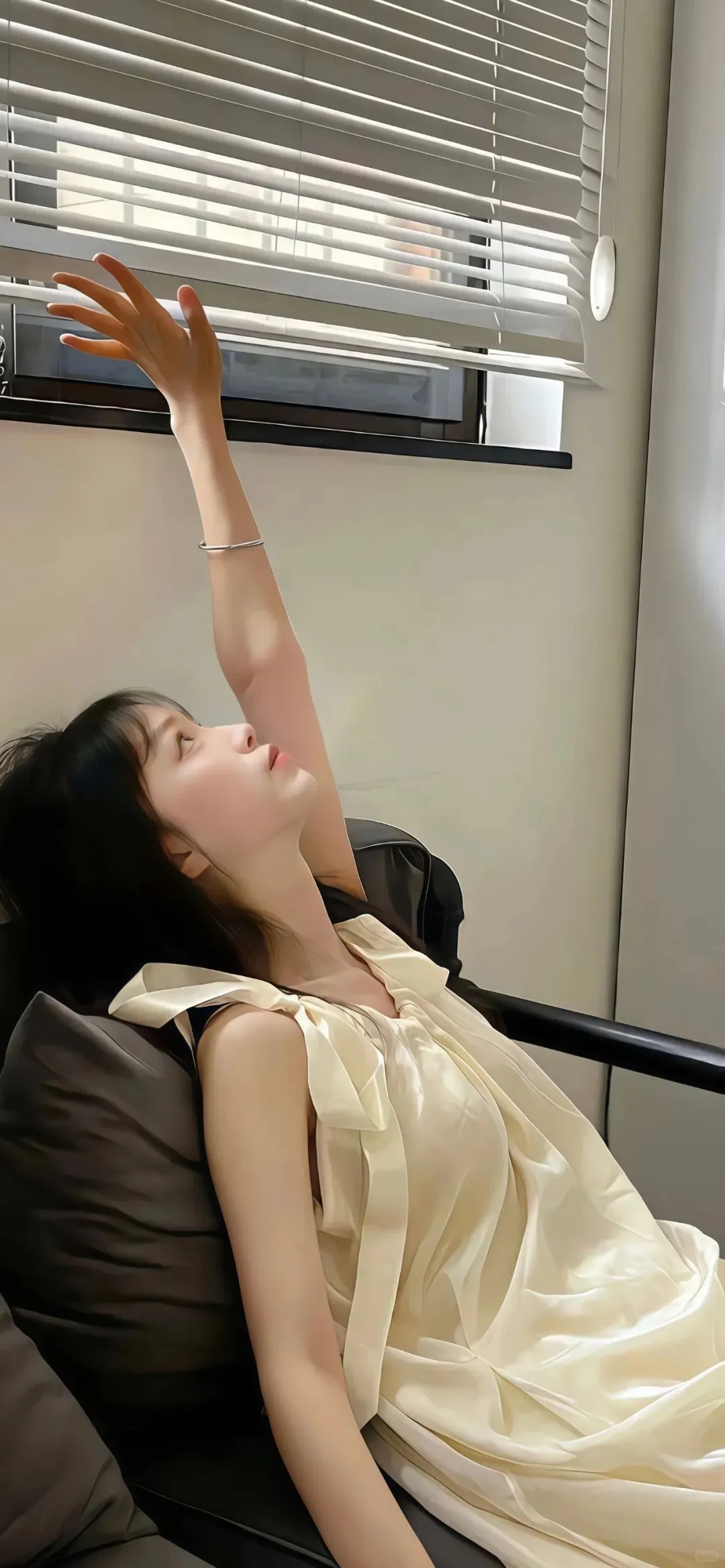 我的花园到处是星星的碎片