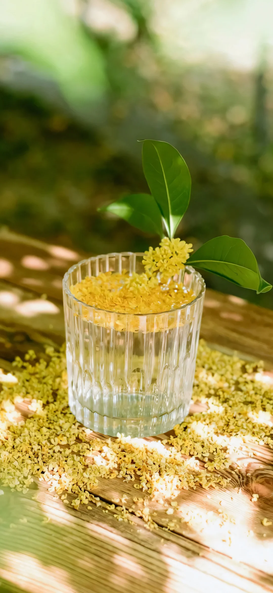 桂花壁纸