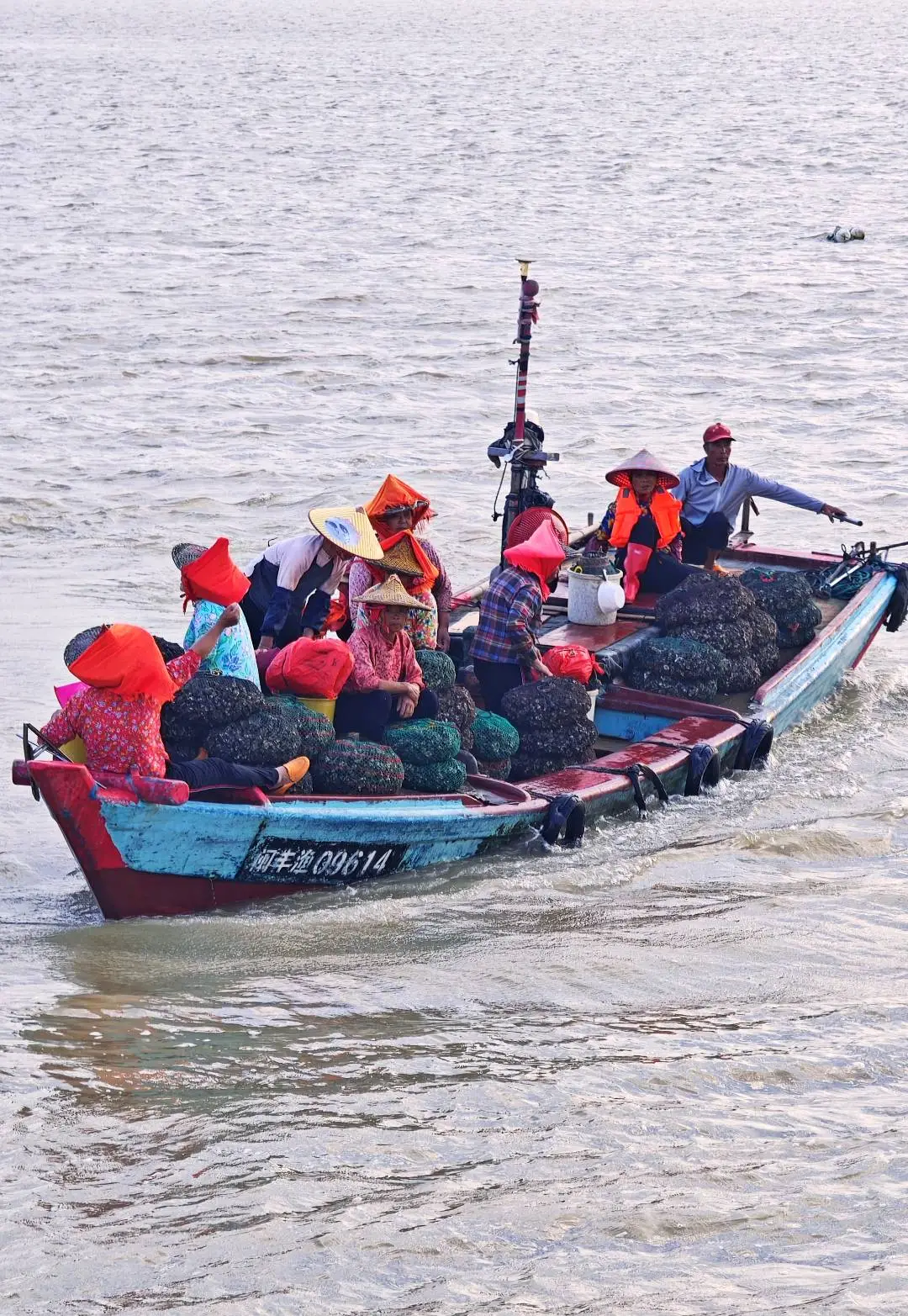 泉州｜蟳埔不止有簪花，还有辛勤的阿嬷！