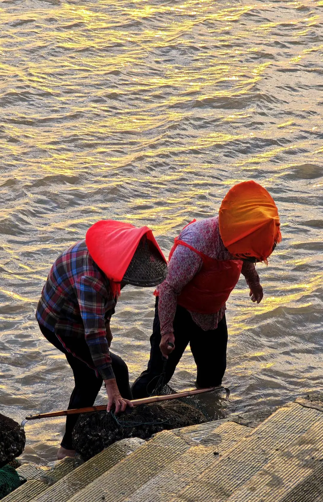 泉州｜蟳埔不止有簪花，还有辛勤的阿嬷！