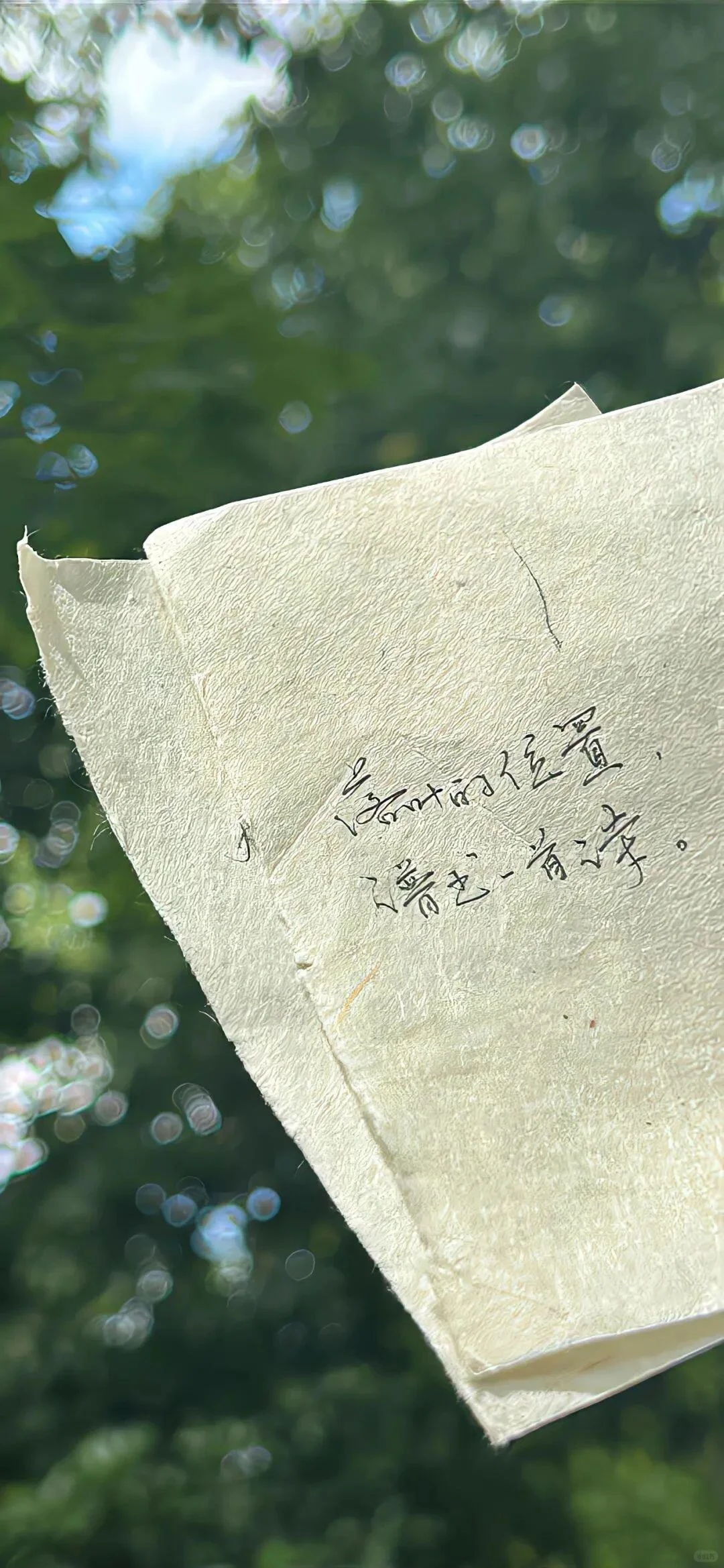 𝙎𝙝𝙖𝙧𝙚｜唯美自由感壁纸