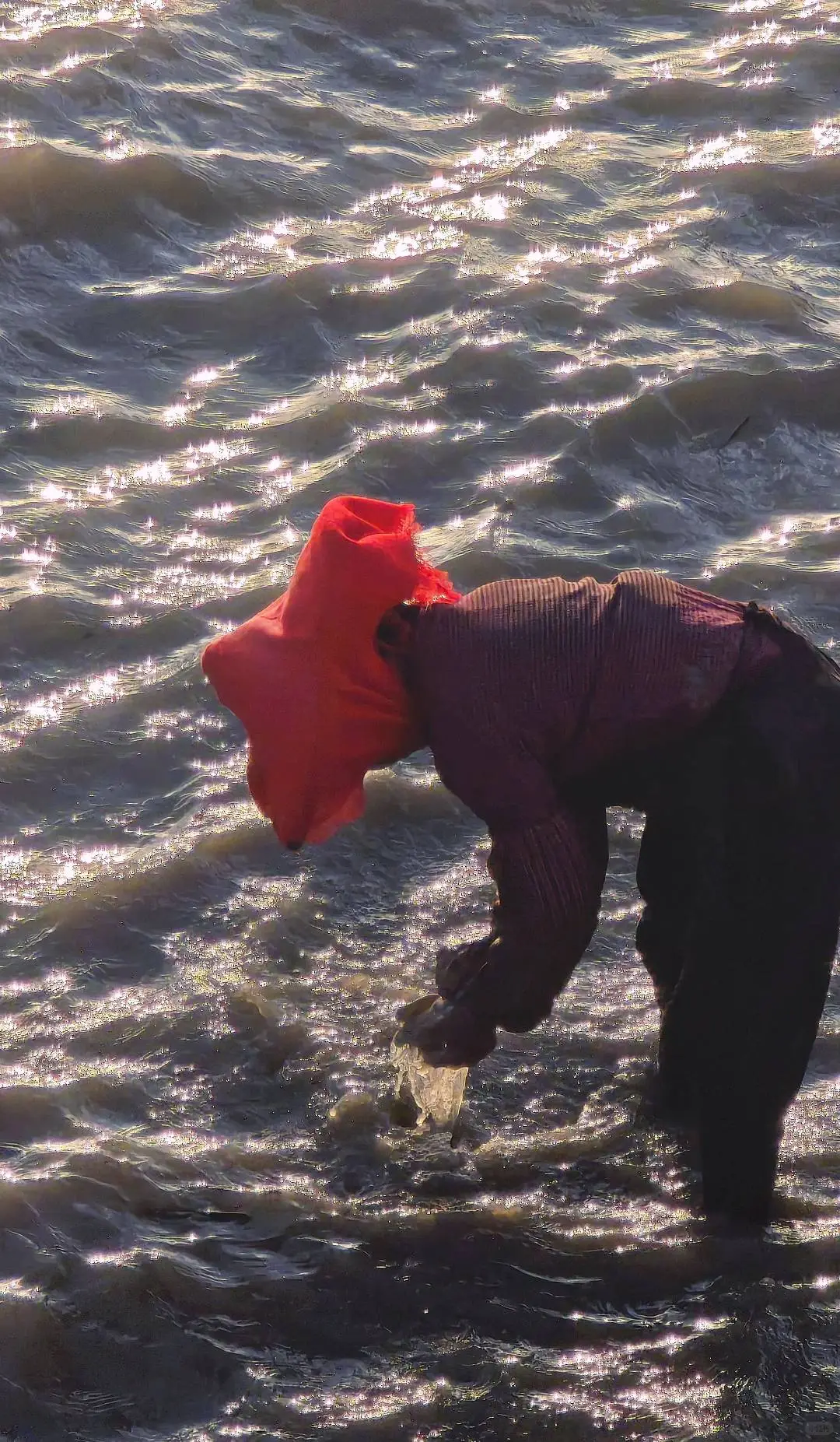 泉州｜蟳埔不止有簪花，还有辛勤的阿嬷！