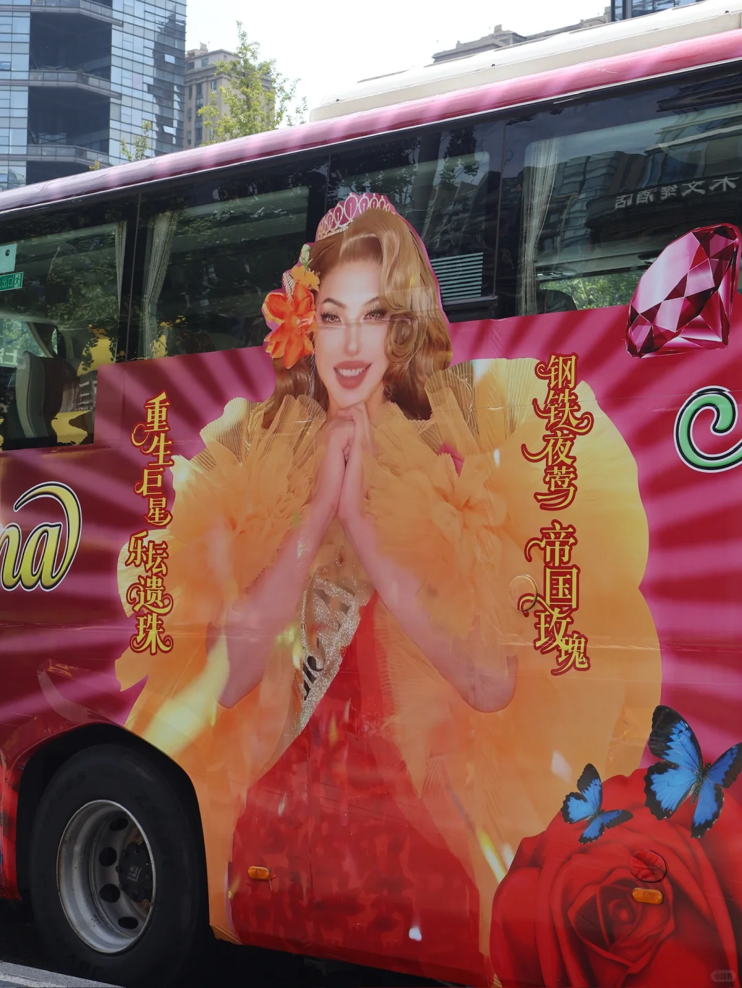 是谁在成都偶遇到了坚强笨女人？
