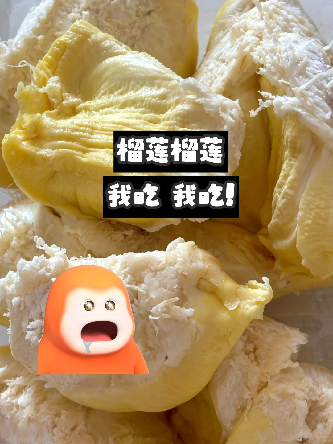 02女研 狂吃不胖秘籍📔