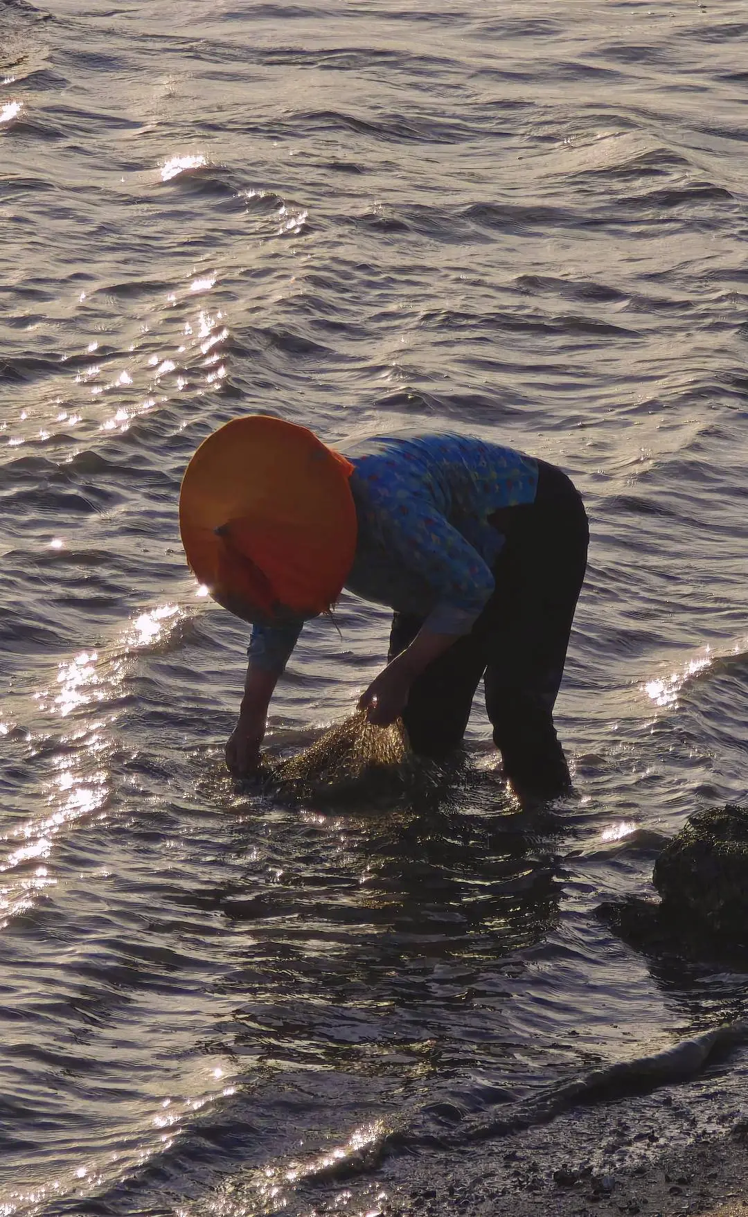 泉州｜蟳埔不止有簪花，还有辛勤的阿嬷！