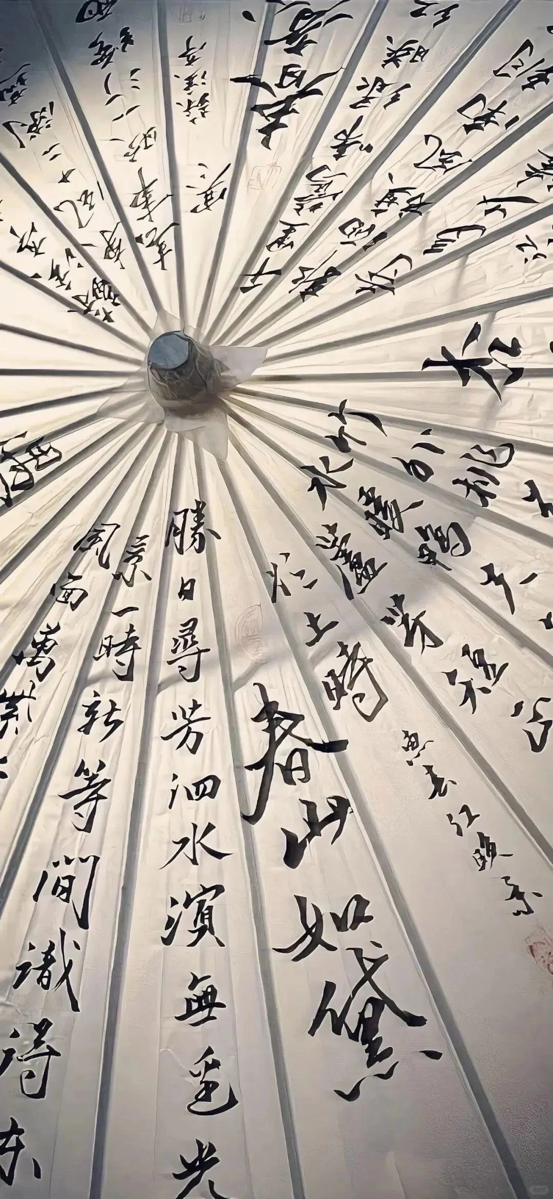 𝗦𝗵𝗮𝗿𝗲·壁纸🪷ᵔ·͈༝·͈
