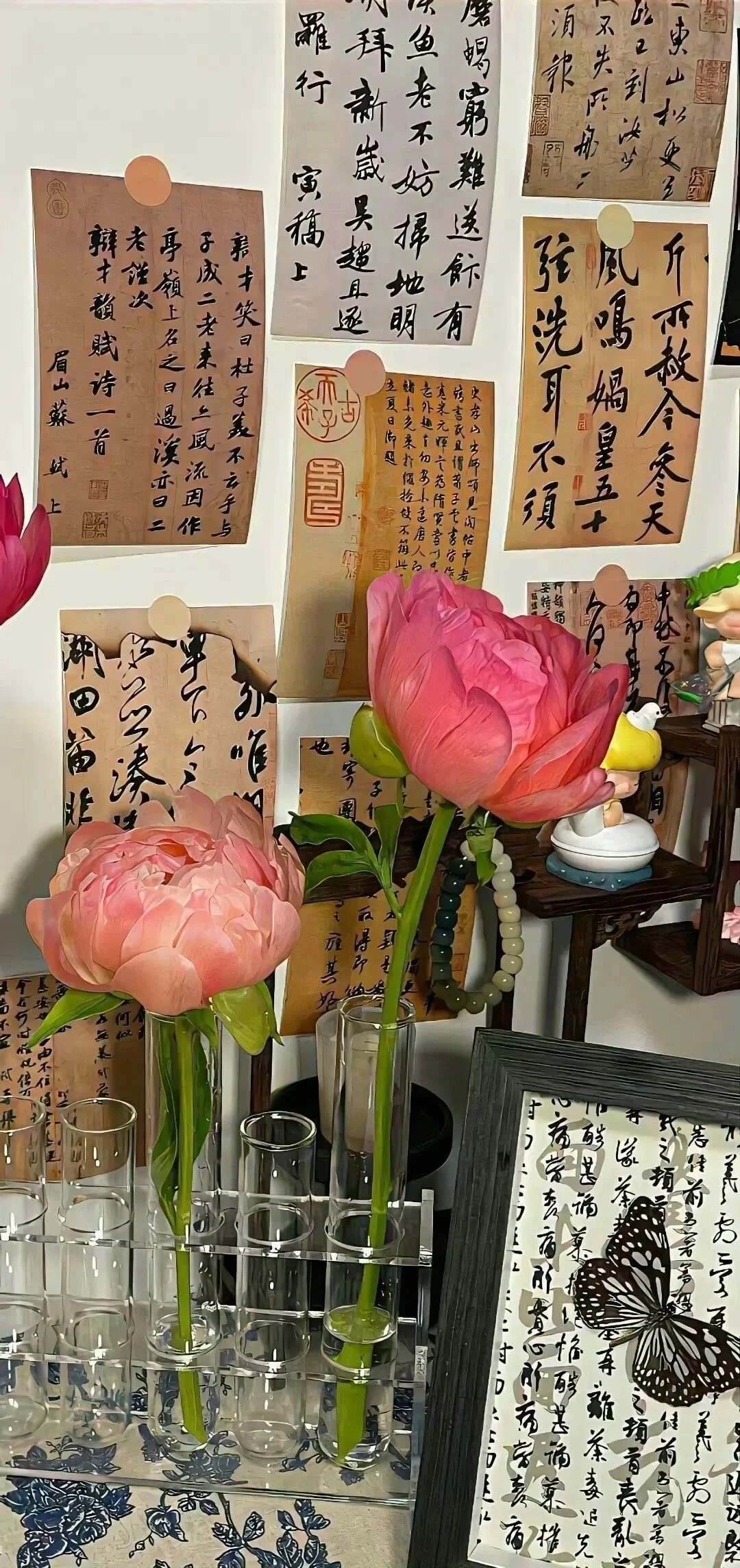 𝗦𝗵𝗮𝗿𝗲·壁纸🪷ᵔ·͈༝·͈