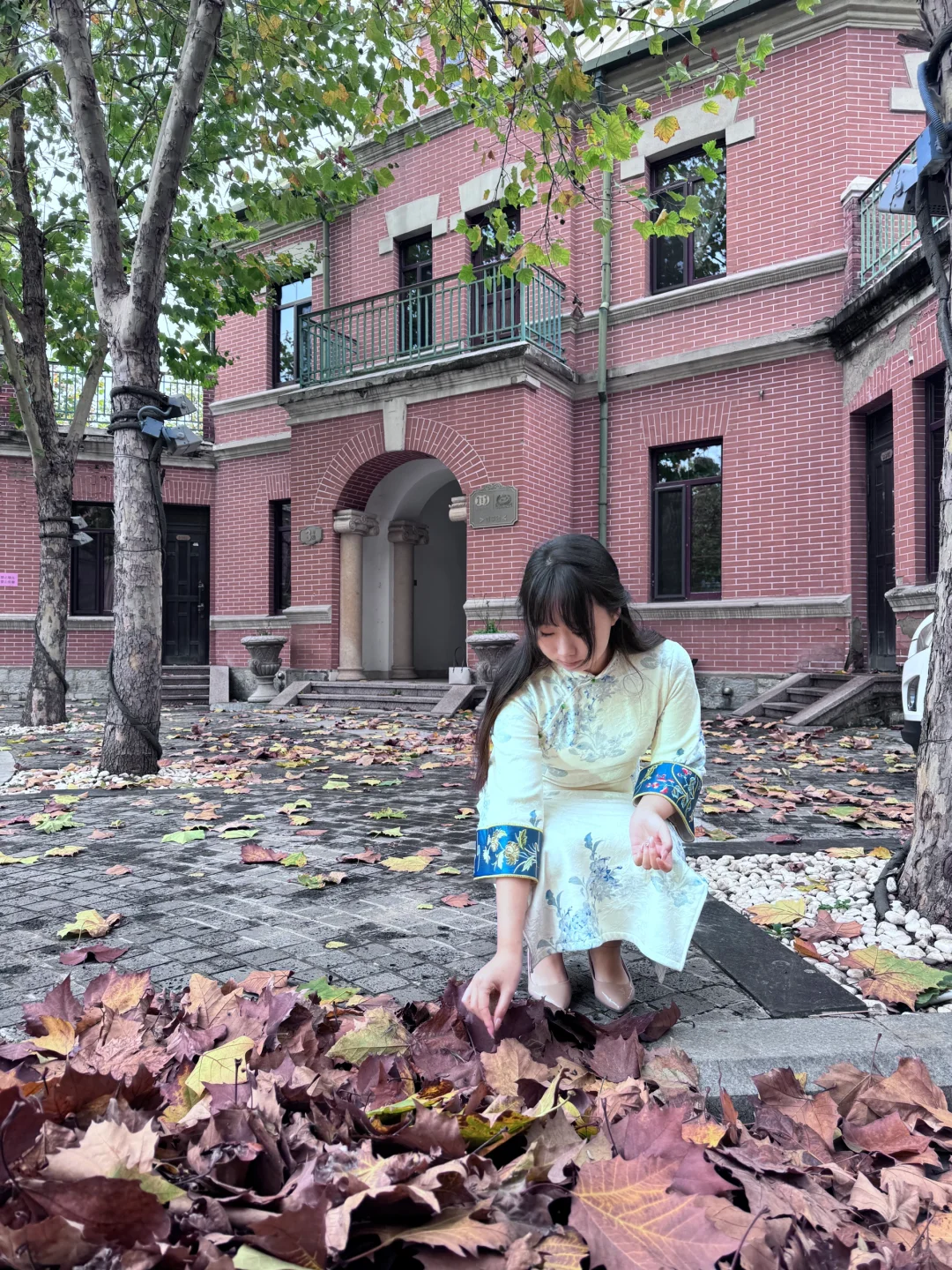 一朝入冷宫，旗袍诉离殇
