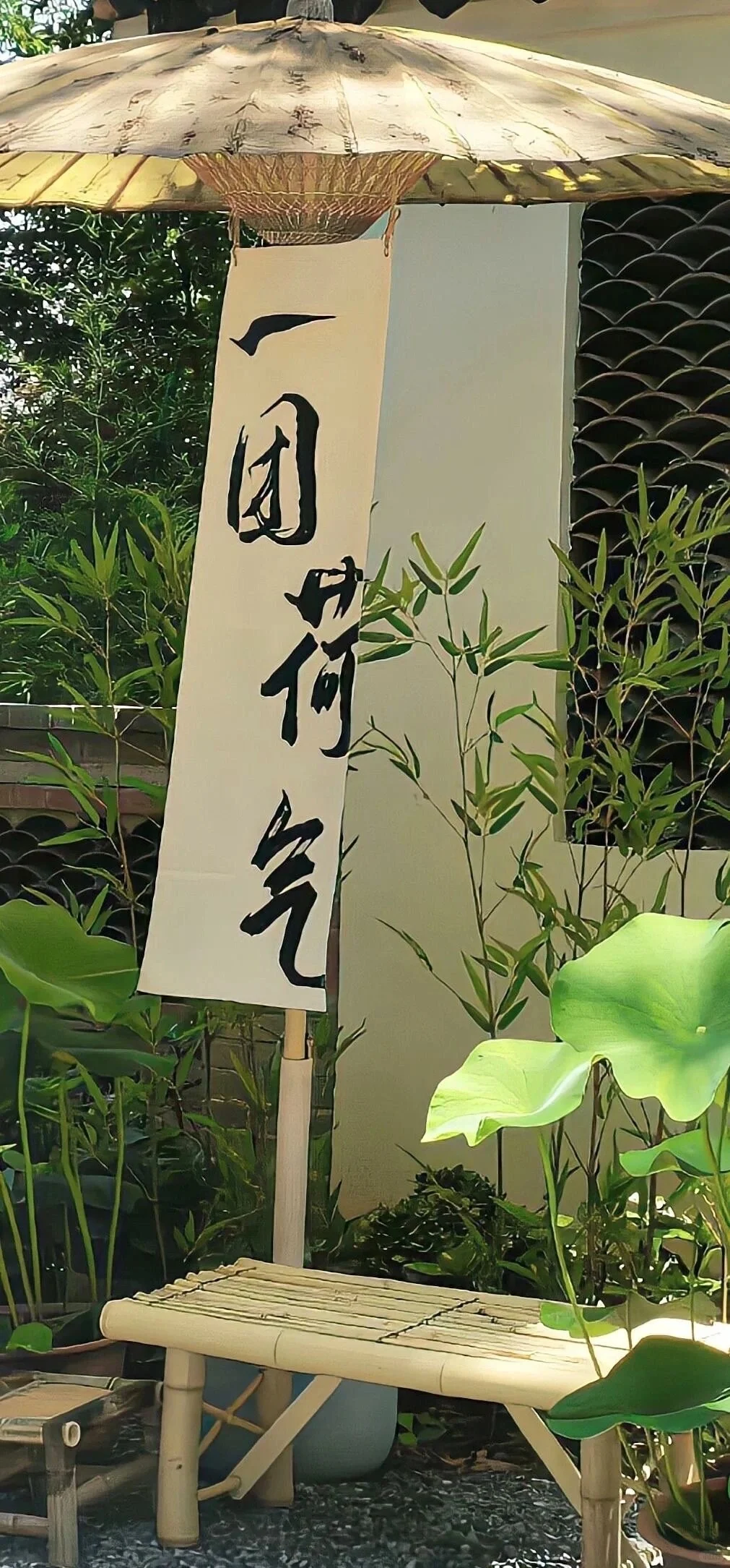 𝗦𝗵𝗮𝗿𝗲·壁纸🪷ᵔ·͈༝·͈