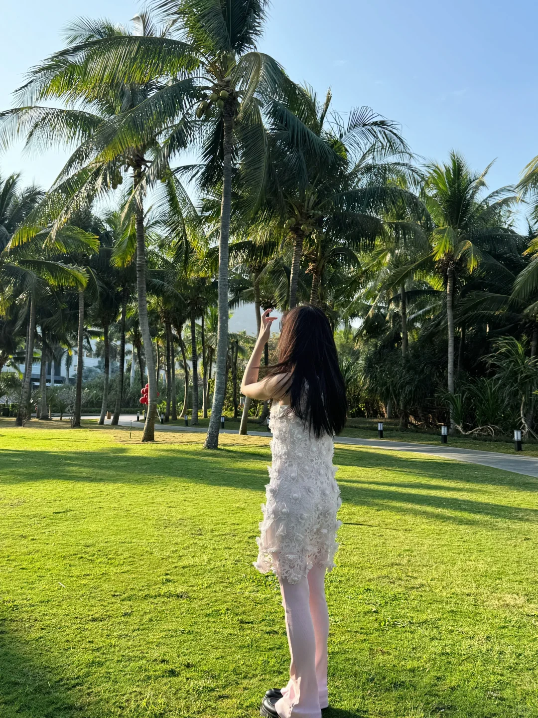 🌴🥥
