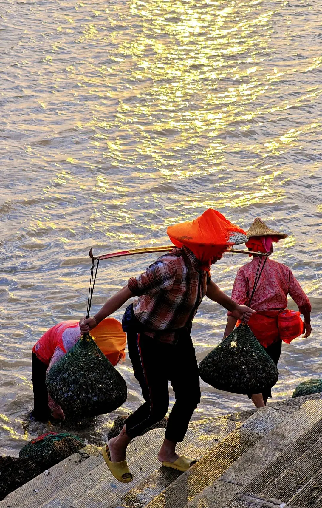 泉州｜蟳埔不止有簪花，还有辛勤的阿嬷！