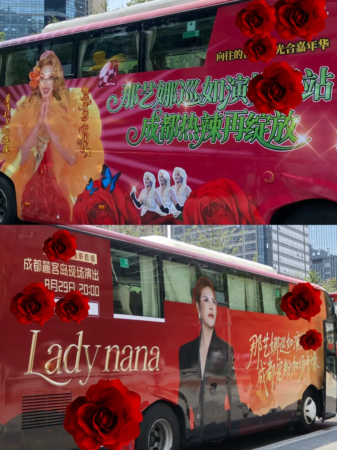 是谁在成都偶遇到了坚强笨女人？