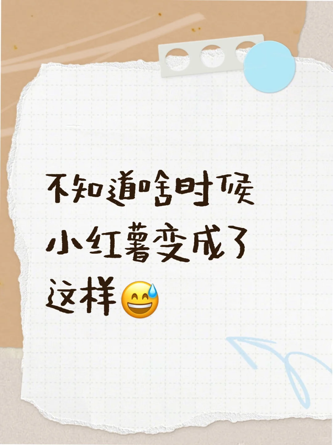 包容性极强的小红书😅