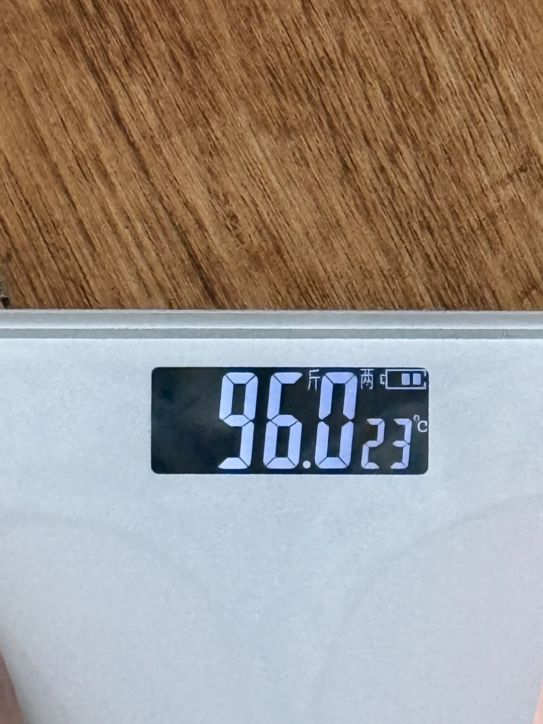 164/96