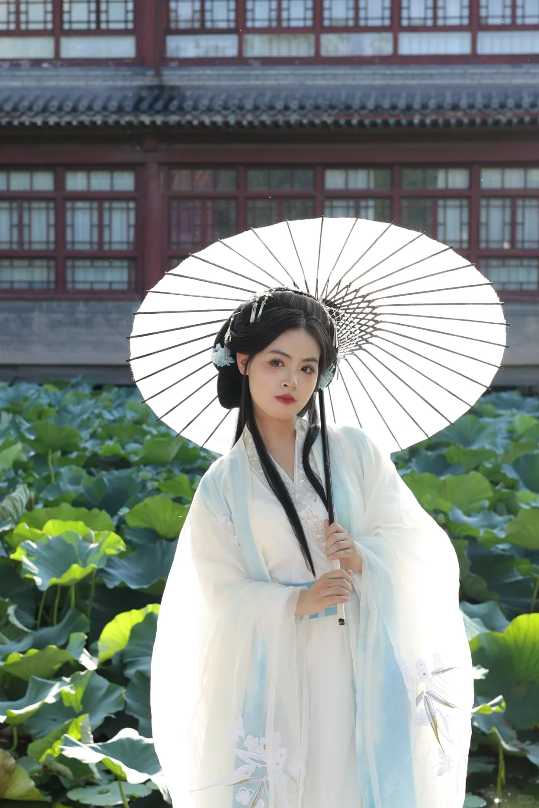 白露降，寒蝉鸣。汉服小姐姐登场！