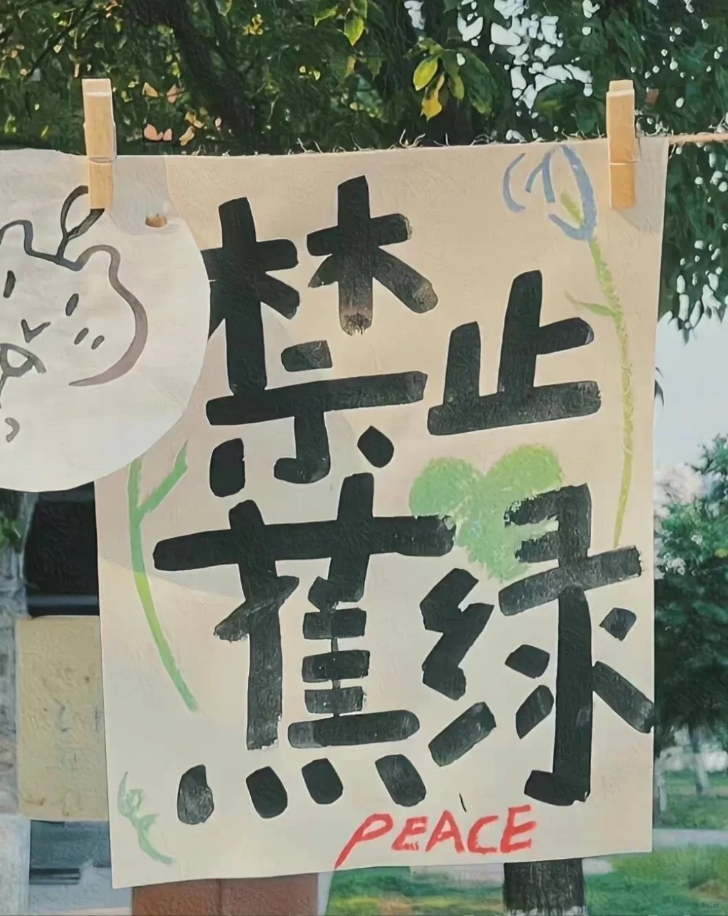 iPad桌面💚 （捣鼓了一个小时的成果）