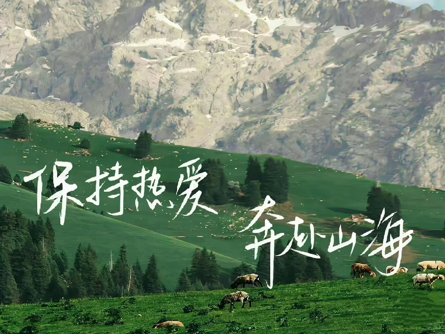 iPad桌面💚 （捣鼓了一个小时的成果）