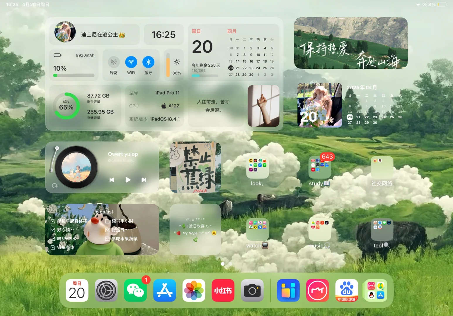 iPad桌面💚 （捣鼓了一个小时的成果）
