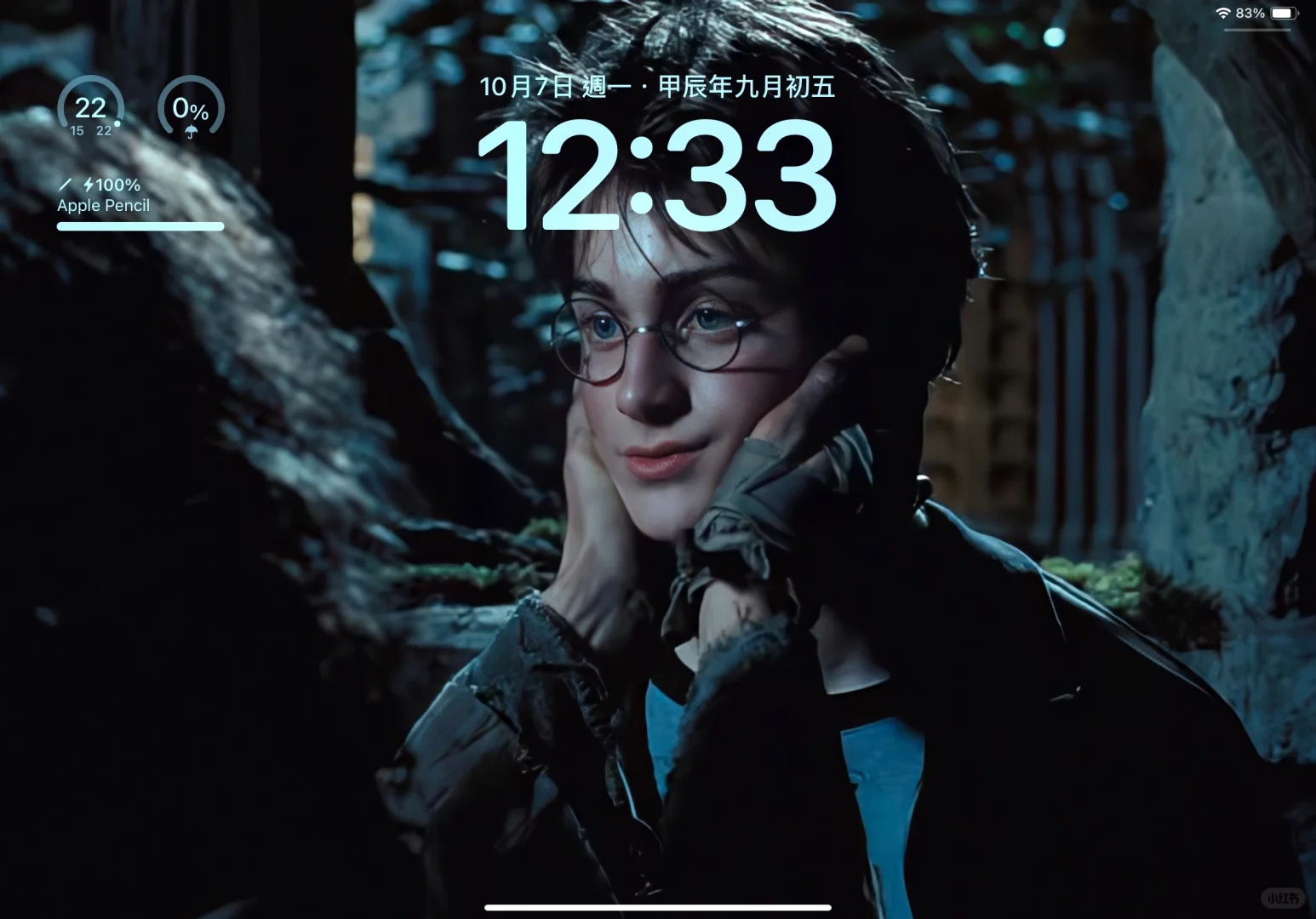 哈利波特🔮iPad壁纸
