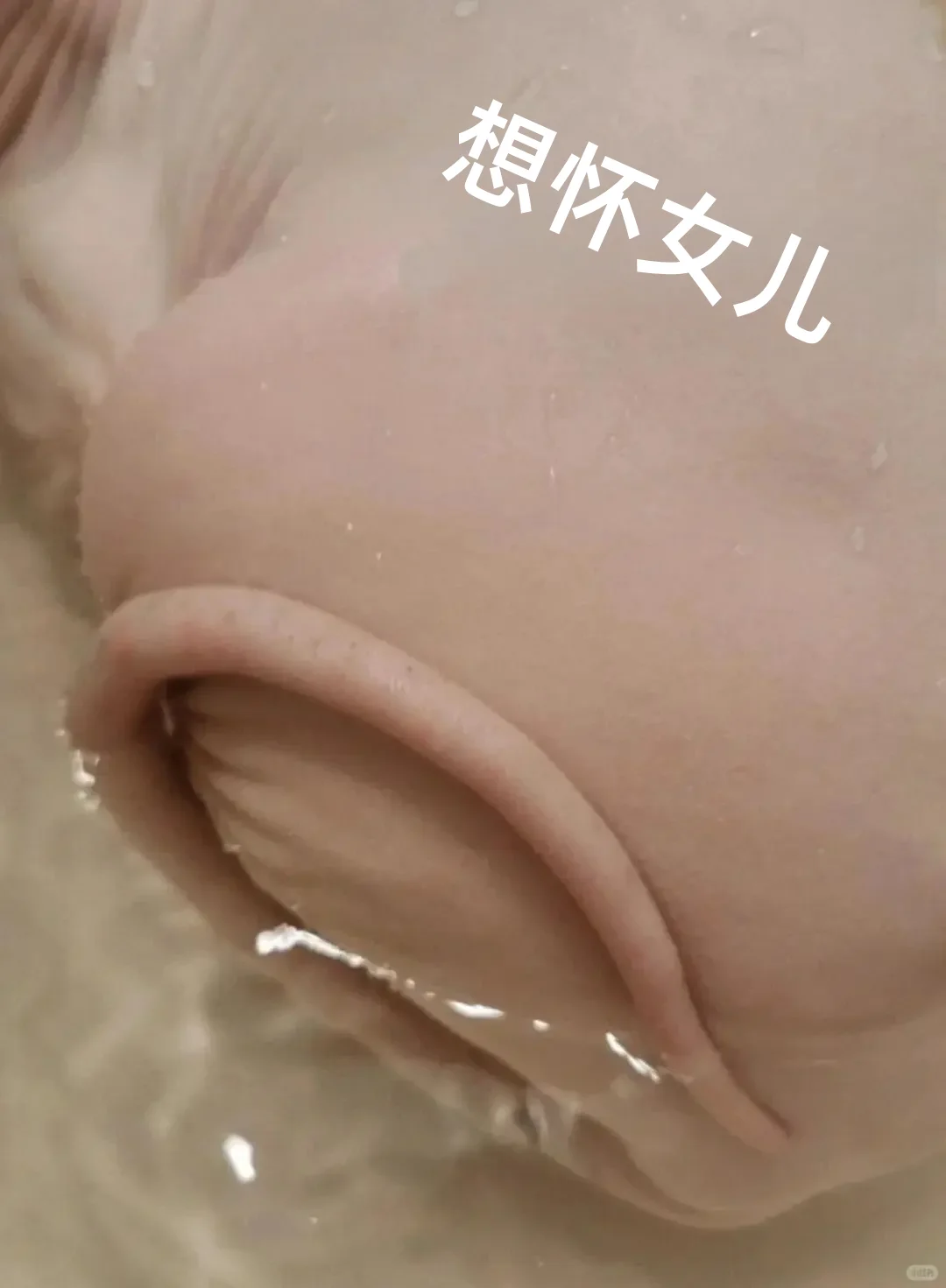 妇产科离职了，说点备孕女宝真相