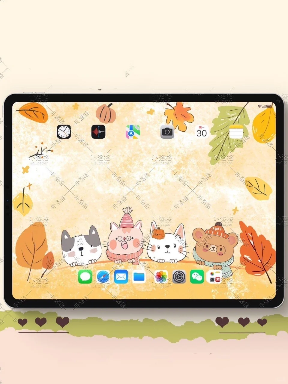 你好秋天｜iPad壁纸✨  🍂