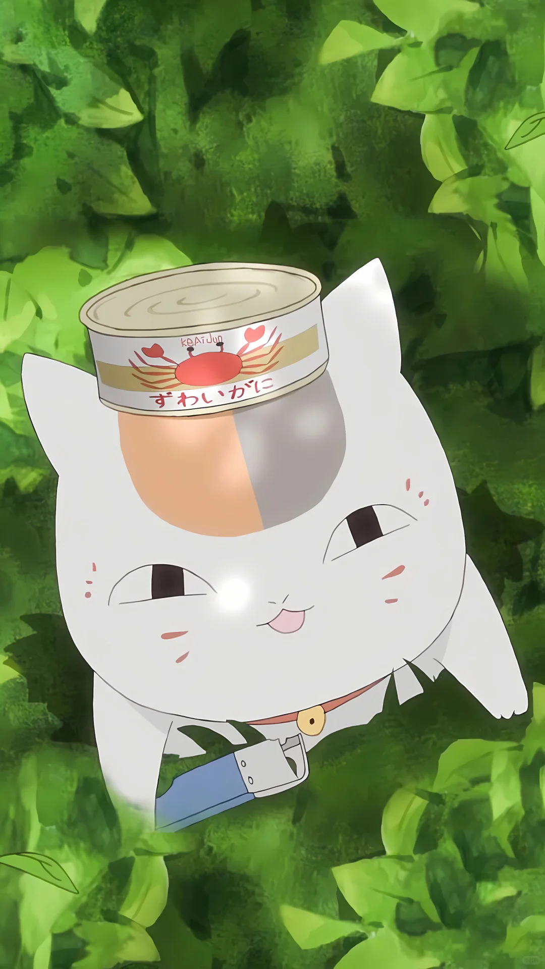 今日份壁纸✨夏目友人帐