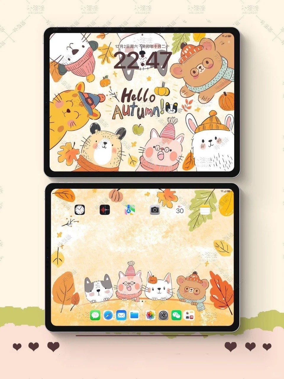 你好秋天｜iPad壁纸✨  🍂