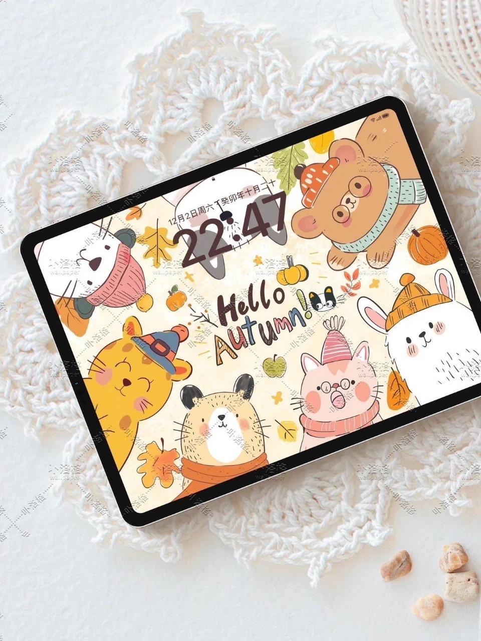 你好秋天｜iPad壁纸✨  🍂