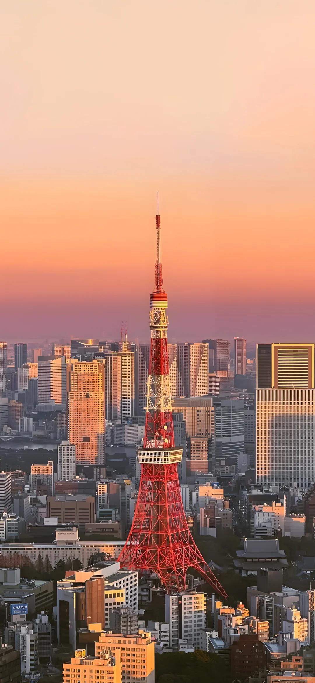 💥Lost in Japan 景深壁纸
