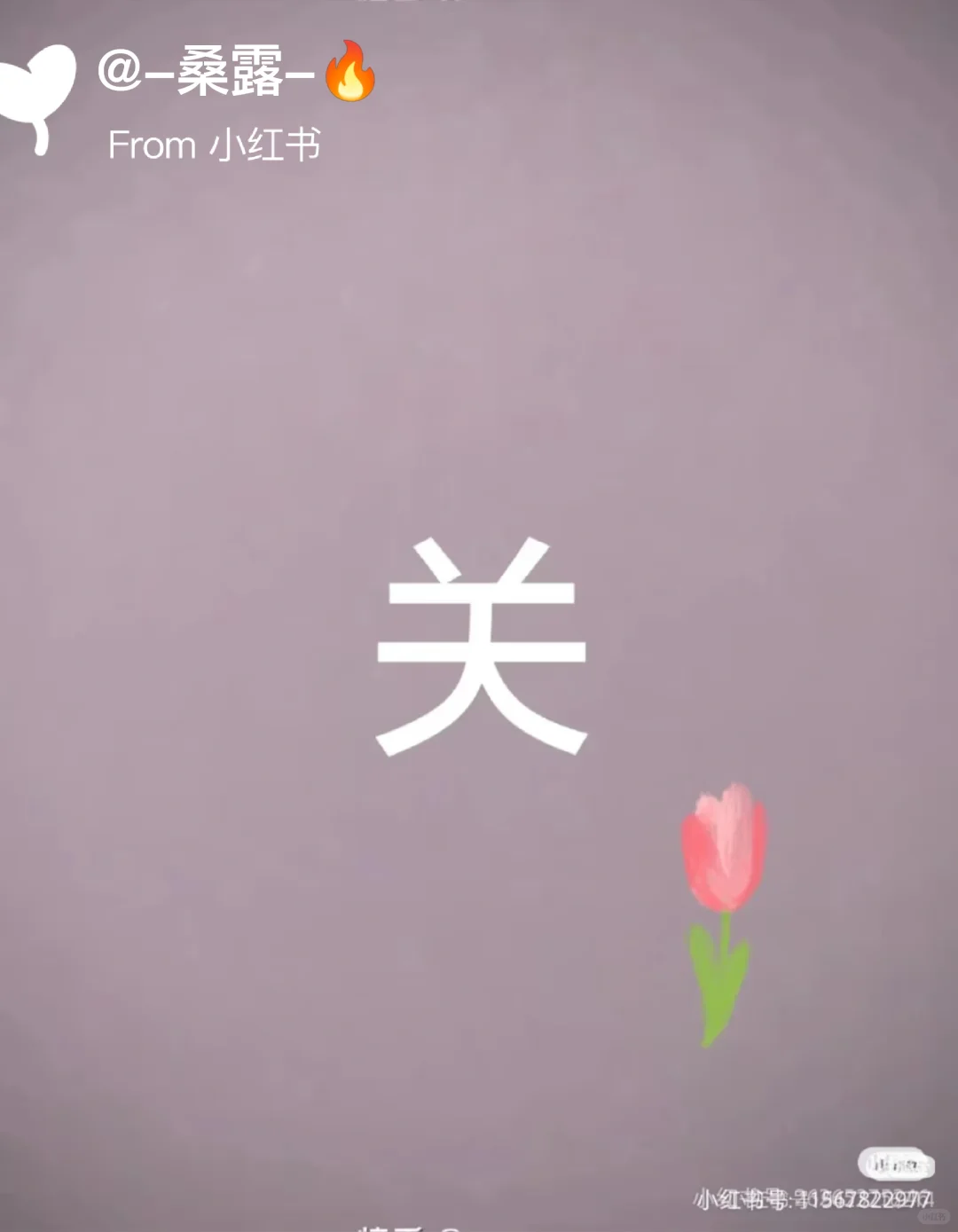 超强好看的夕阳女头像